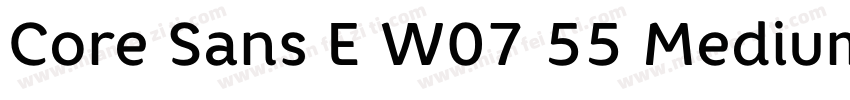 Core Sans E W07 55 Medium字体转换